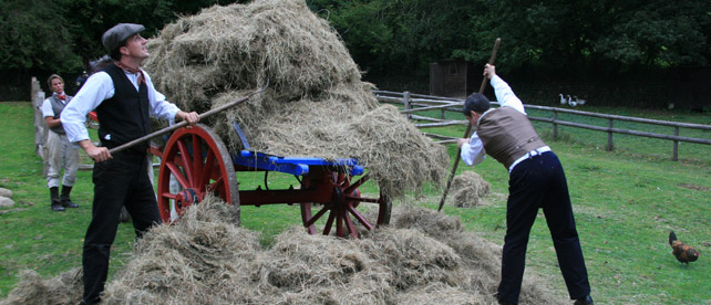 Edwardian Farm at Morwellham Quay - 12 episodes showing on BBC 2 every Wednesday at 8pm
